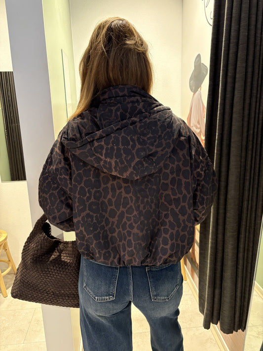 jasje leopard Dani